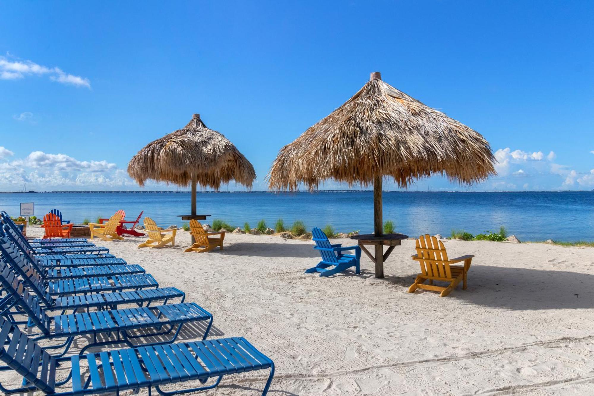 227-Wifi, New Paint, Amazing Views, Close To Bucs Stadium Tampa Esterno foto