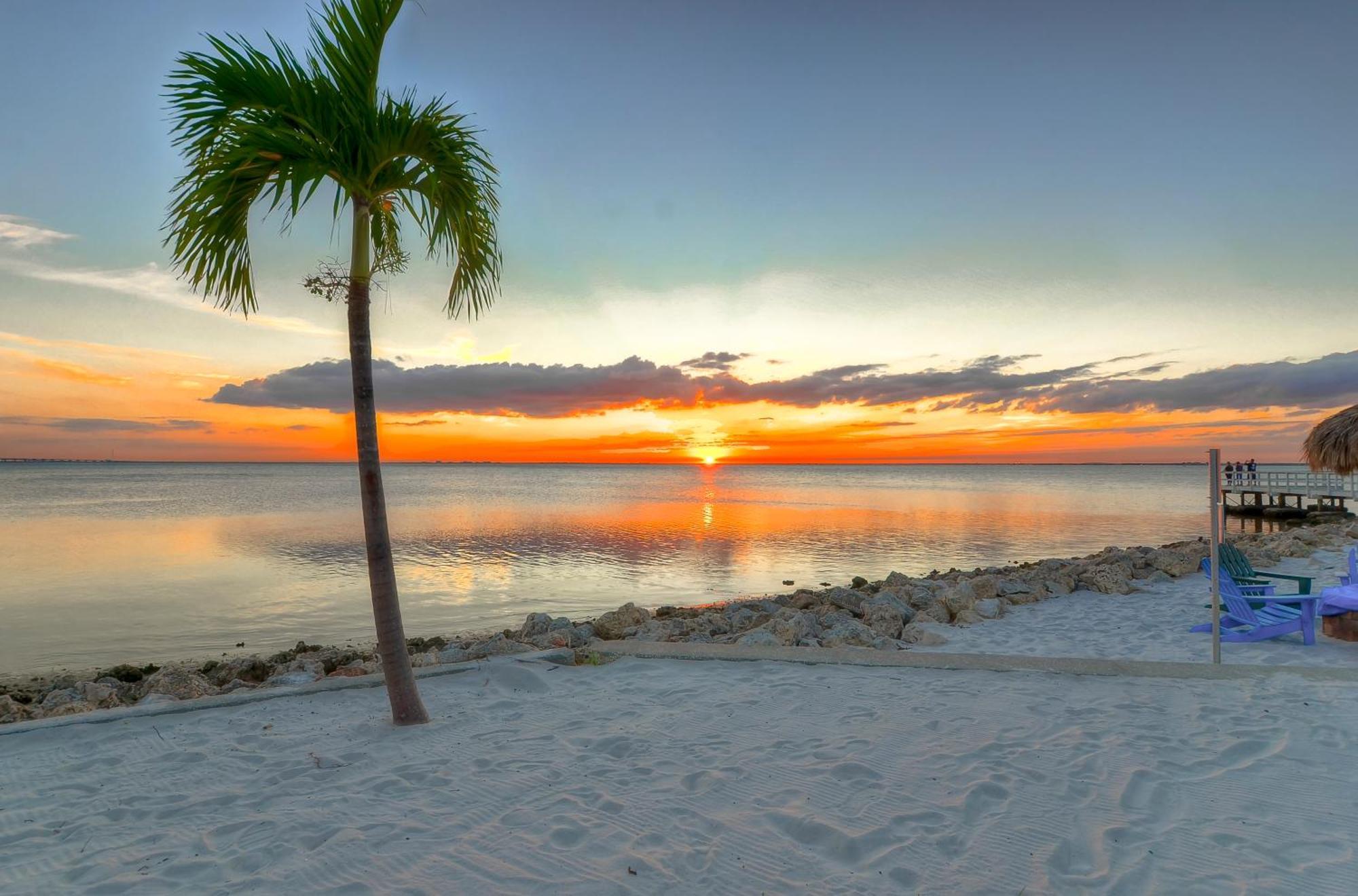 227-Wifi, New Paint, Amazing Views, Close To Bucs Stadium Tampa Esterno foto