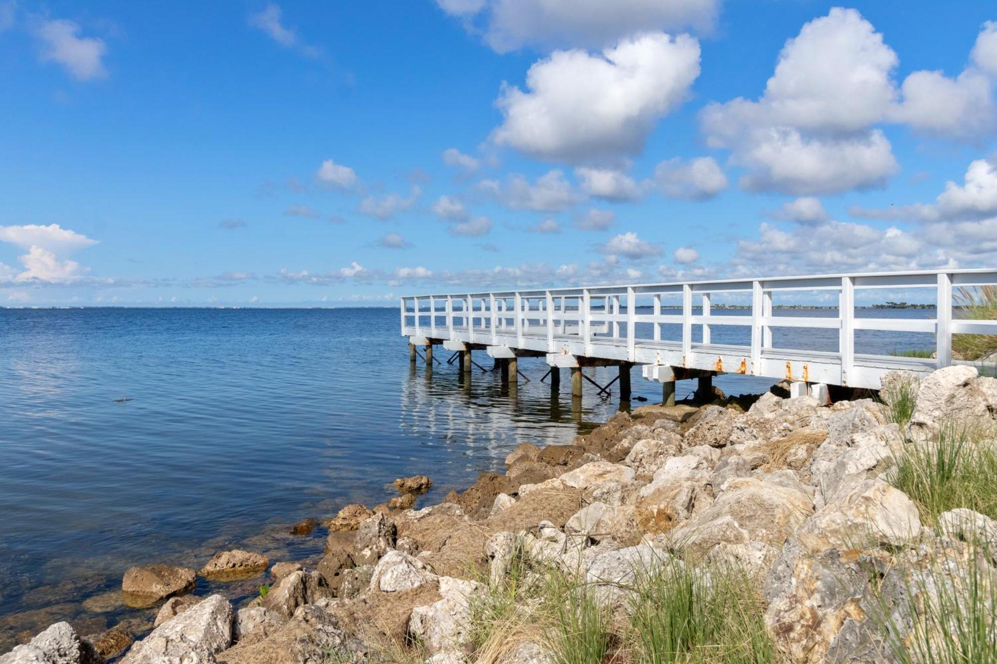 227-Wifi, New Paint, Amazing Views, Close To Bucs Stadium Tampa Esterno foto