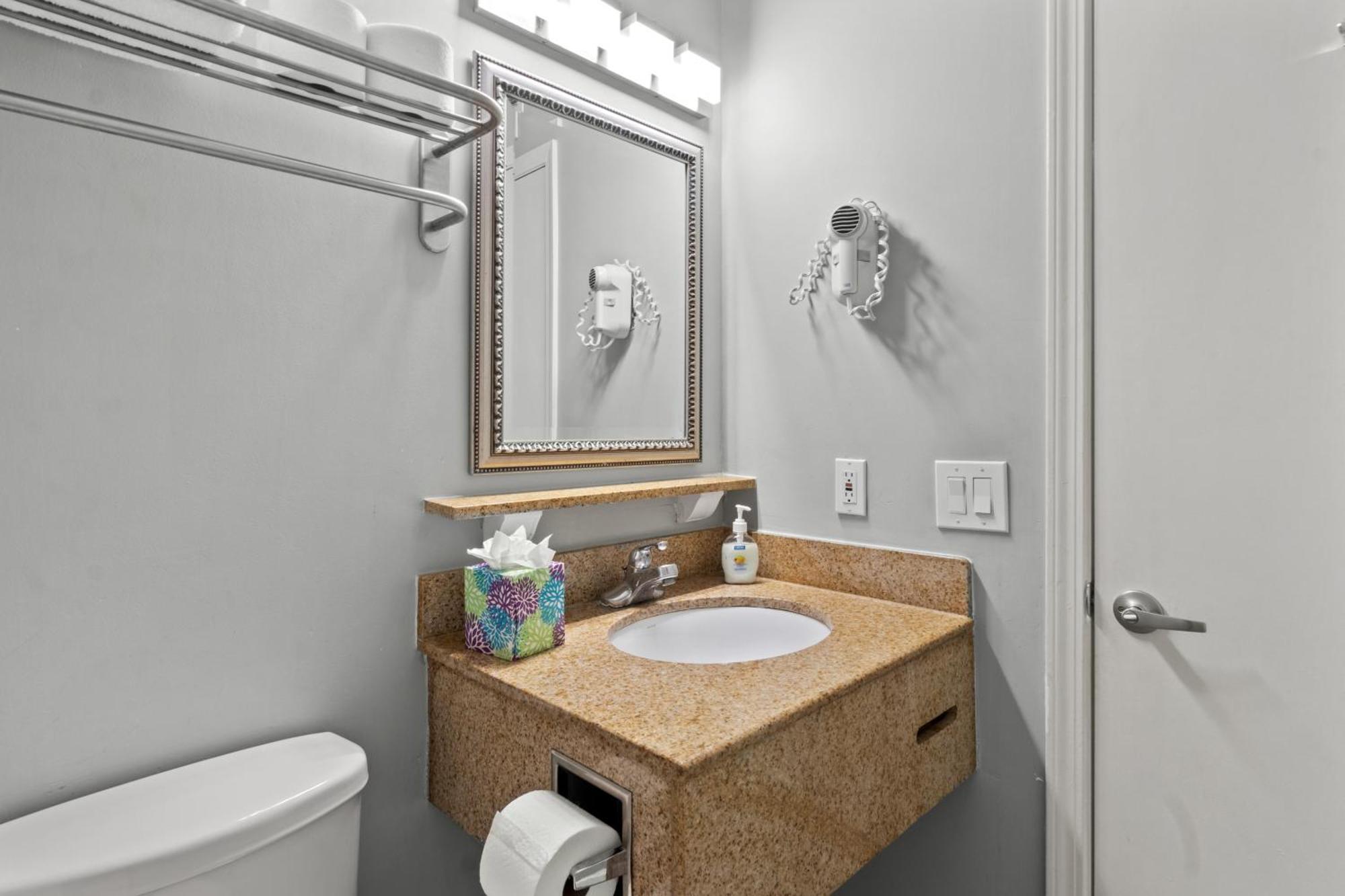 227-Wifi, New Paint, Amazing Views, Close To Bucs Stadium Tampa Esterno foto